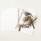 Audubon Crested Titmouse Birds in Pine Tree (Devant avec enveloppe)