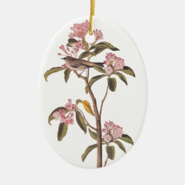 Audubon Cuvier's Kinglet Mystery Bird Keramisch Ornament