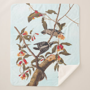 Audubon Downy Woodpecker Couple met Flowers Sherpa Deken