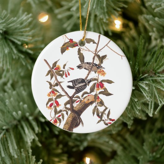 Audubon Downy Woodpecker Pair Keramisch Ornament (Boom)