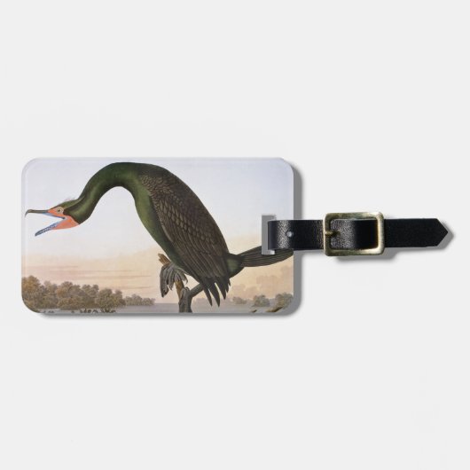 Audubon: Dubbele Crested Cormorant Bagagelabel (Voorkant horizontaal)