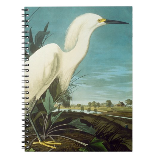 Audubon: Egret Notitieboek (Voorkant)