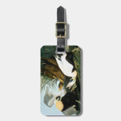 Audubon: Eider Duck Bagagelabel (Voorkant verticaal)