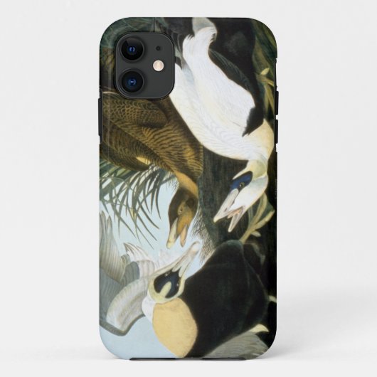 Audubon: Eider Duck Case-Mate iPhone Case (Achterkant)