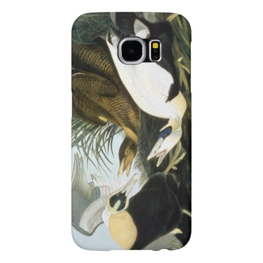 Audubon: Eider Duck Case-Mate Samsung Galaxy Hoesje (Achterkant)