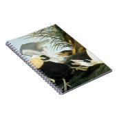 Audubon: Eider Duck Notitieboek (Rechterzijde)