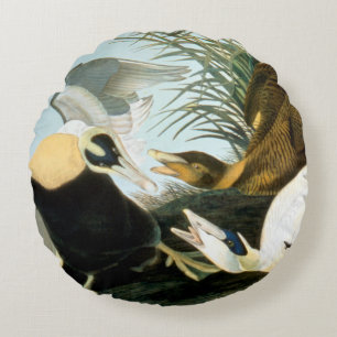 Audubon: Eider Duck Rond Kussen