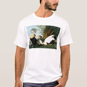 Audubon: Eider Duck T-shirt