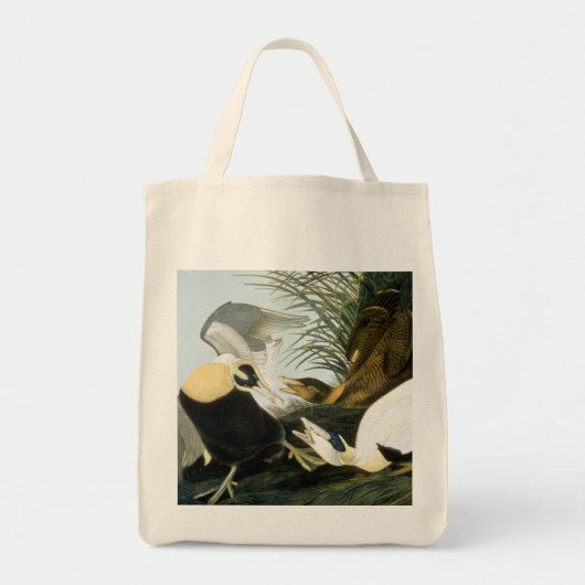 Audubon: Eider Duck Tote Bag (Voorkant)