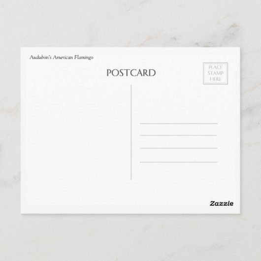 Audubon Flamingo Briefkaart (Achterkant)