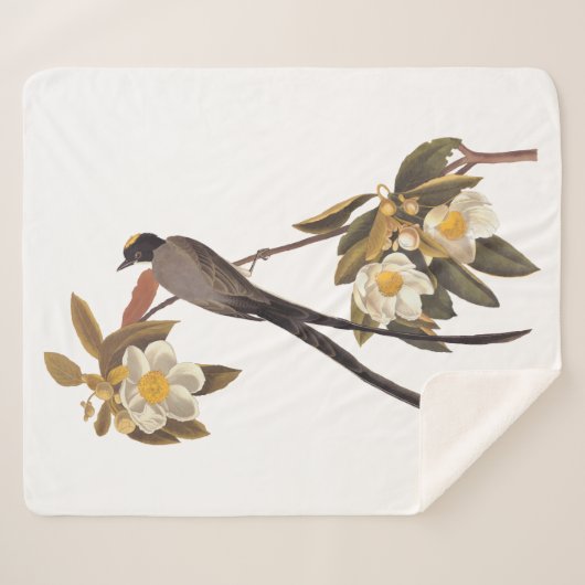 Audubon Fork-Tailed Flycatcher Bird  Art Sherpa Deken (Voorkant (horizontaal))