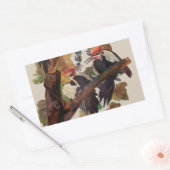 Audubon gepileerde specht vogelschilderij rechthoekige sticker (Envelop)