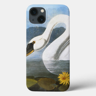 Audubon: Gewone Zwaan iPhone 13 Hoesje