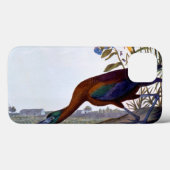 Audubon: Glossy Ibis Case-Mate iPhone Case (Achterkant (horizontaal))