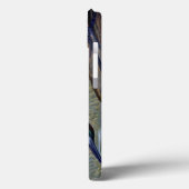 Audubon: Glossy Ibis Case-Mate iPhone Case (Achterkant / Links)