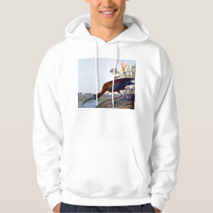 Audubon: Glossy Ibis Hoodie