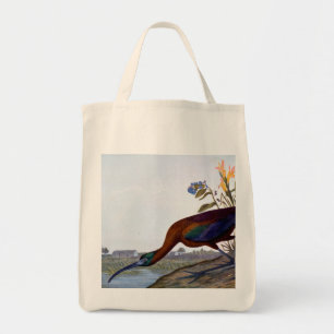 Audubon: Glossy Ibis Tote Bag