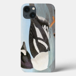 Audubon: Goldeneye van de kruiwagen iPhone 13 Hoesje