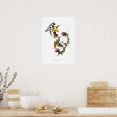 Audubon Goudvinken Vogel Poster (Keuken)
