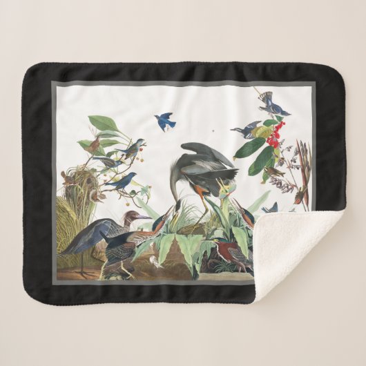 Audubon Great Blue Heron Birds Sherpa Blanket Sherpa Deken (Voorkant (horizontaal))
