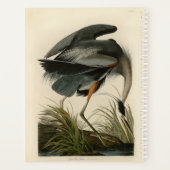 Audubon Great Blue Heron Marsh Bird (Dos)