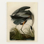 Audubon Great Blue Heron Marsh Bird (Devant)