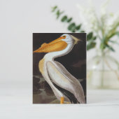 Audubon: Great White Pelican Briefkaart (Staand voorkant)