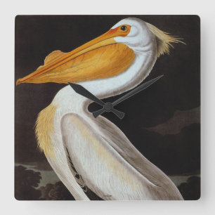 Audubon: Great White Pelican Vierkante Klok