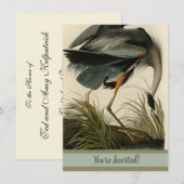 Audubon Grote Blauwe Heron moerasvogel Kaart (Voorkant / Achterkant)