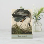 Audubon Grote Blauwe Heron moerasvogel Kaart (Staand voorkant)
