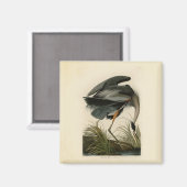 Audubon Grote Blauwe Heron moerasvogel Magneet (Voorkant / Achterkant)