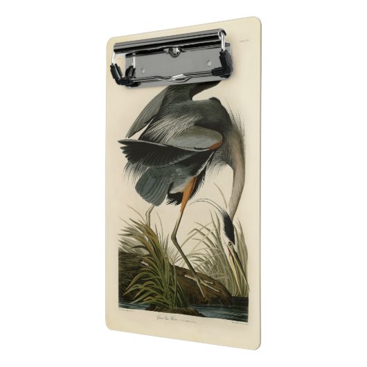 Audubon Grote Blauwe Heron moerasvogel Mini Klembord (Angled2)