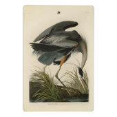 Audubon Grote Blauwe Heron moerasvogel Mini Klembord (Achterkant)