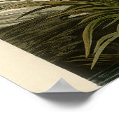 Audubon Grote Blauwe Heron moerasvogel Poster (Hoek)