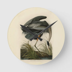 Audubon Grote Blauwe Heron moerasvogel Ronde Klok