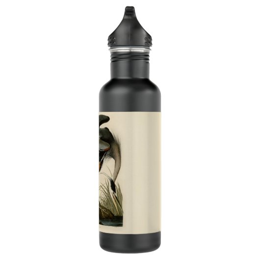 Audubon Grote Blauwe Heron moerasvogel Waterfles (Rechts)