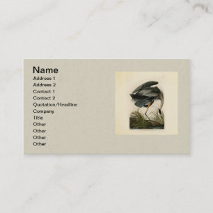 Audubon Grote Blauwe Reiger Moeras Vogel Visitekaartje
