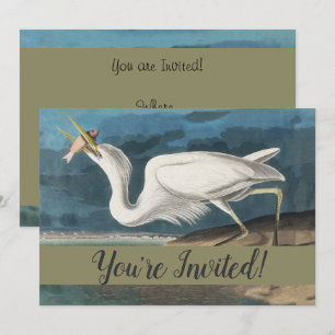 Audubon Grote Witte Reiger: Vintage Kustvogel Kaart