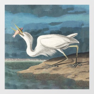 Audubon Grote Witte Reiger: Vintage Kustvogel Raamsticker