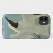 Audubon: Gull-Billing Tern Case-Mate iPhone Case (Achterkant (horizontaal))