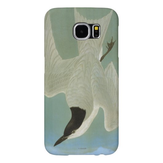 Audubon: Gull-Billing Tern Case-Mate Samsung Galaxy Hoesje (Achterkant)