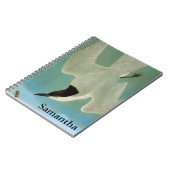 Audubon: Gull-Billing Tern Notitieboek (Linkerzijde)