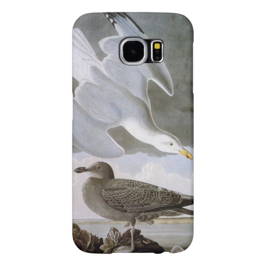 Audubon: Haring Gull Case-Mate Samsung Galaxy Hoesje (Achterkant)