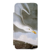 Audubon: Haring Gull Incipio iPhone Portemonnee Hoesje (Voorkant Agenda)