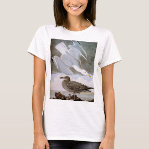 Audubon: Haring Gull T-shirt
