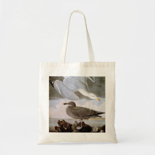 Audubon: Haring Gull Tote Bag