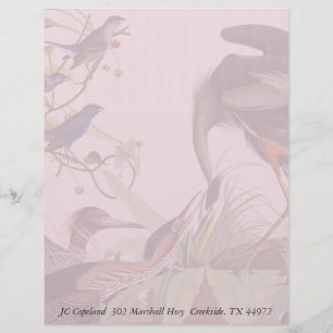 Audubon Heron Birds Collections Papier à lettres