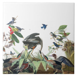 Audubon Heron Birds Wildlife Collage Tile Tegeltje