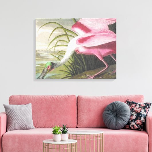Audubon Illustration Spoonbill Bird Canvas Afdruk (Insitu (Woonkamer))