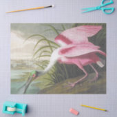  Audubon Illustration Spoonbill Bird Tissuepapier (Craft)